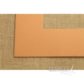 Oranžinis pasportas 4827