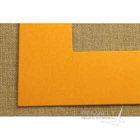 Oranžinis pasportas 2736